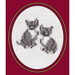 Cats